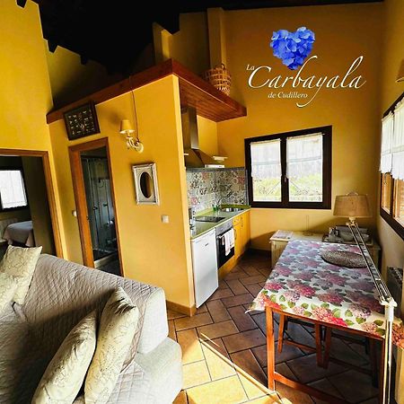 Apartamentos Rurales La Carbayala Oviñana エクステリア 写真