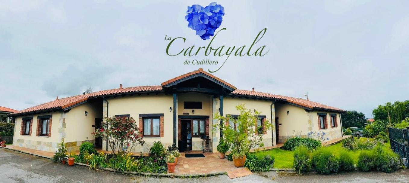 Apartamentos Rurales La Carbayala Oviñana エクステリア 写真