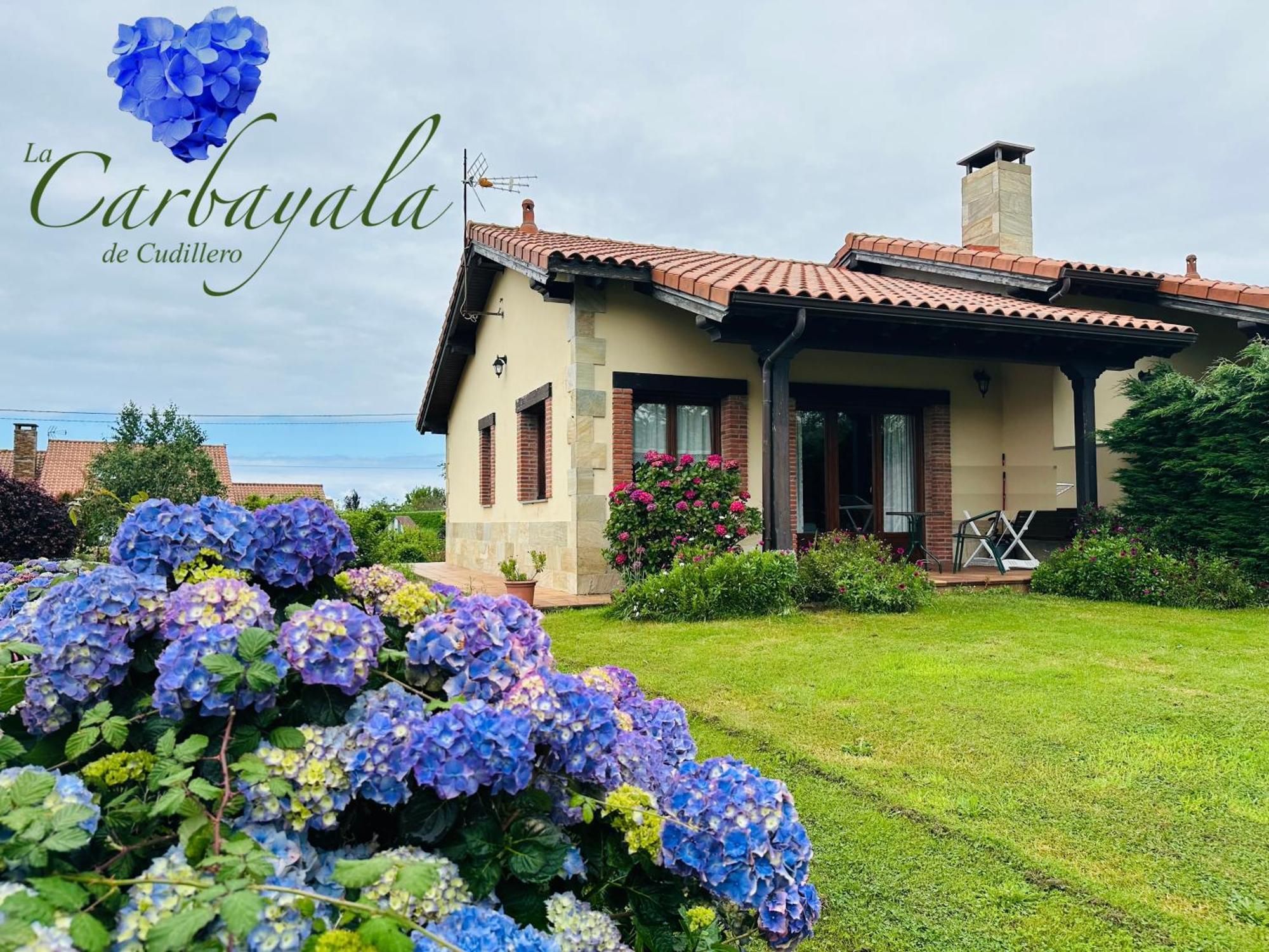 Apartamentos Rurales La Carbayala Oviñana エクステリア 写真