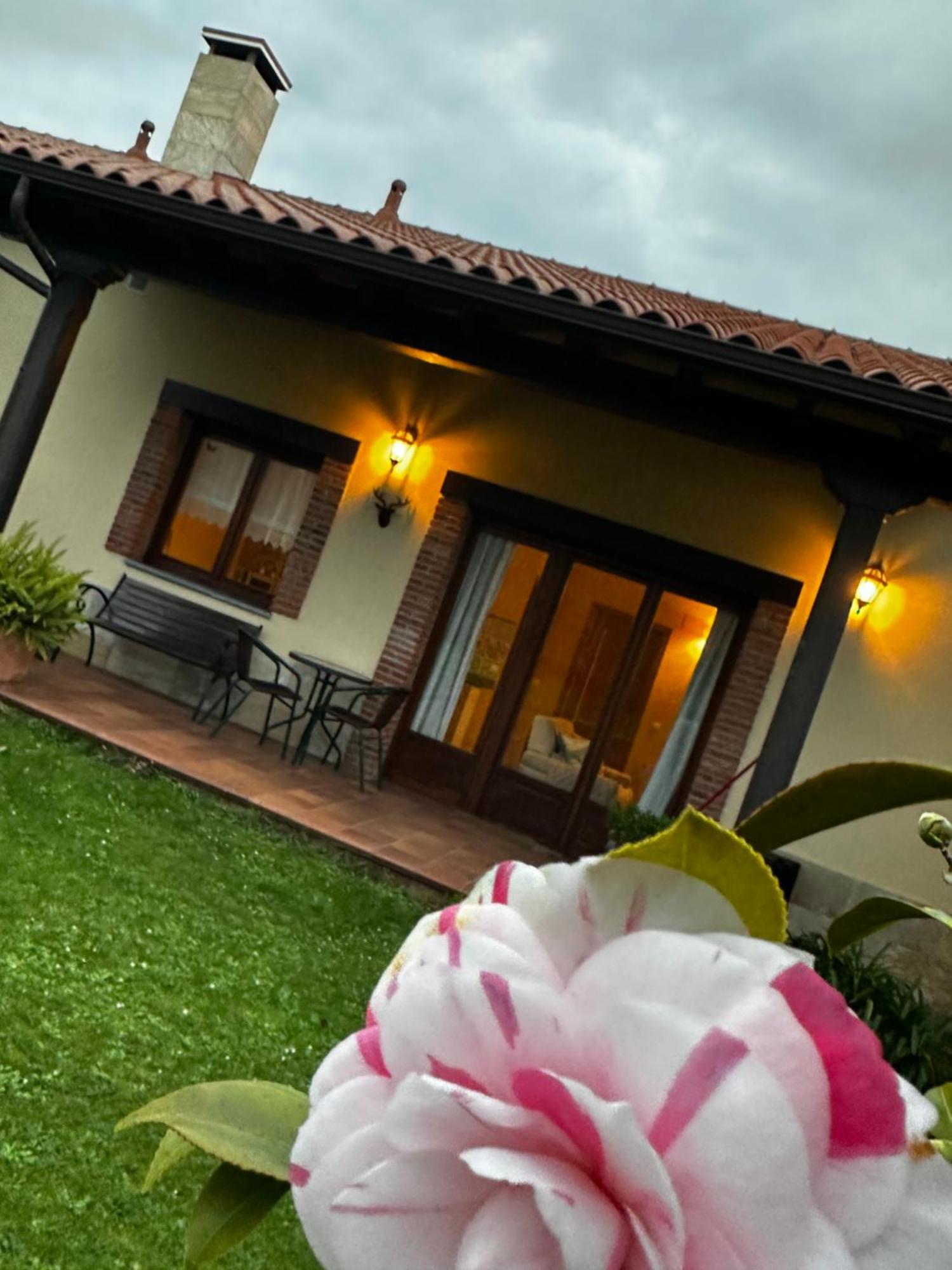 Apartamentos Rurales La Carbayala Oviñana エクステリア 写真