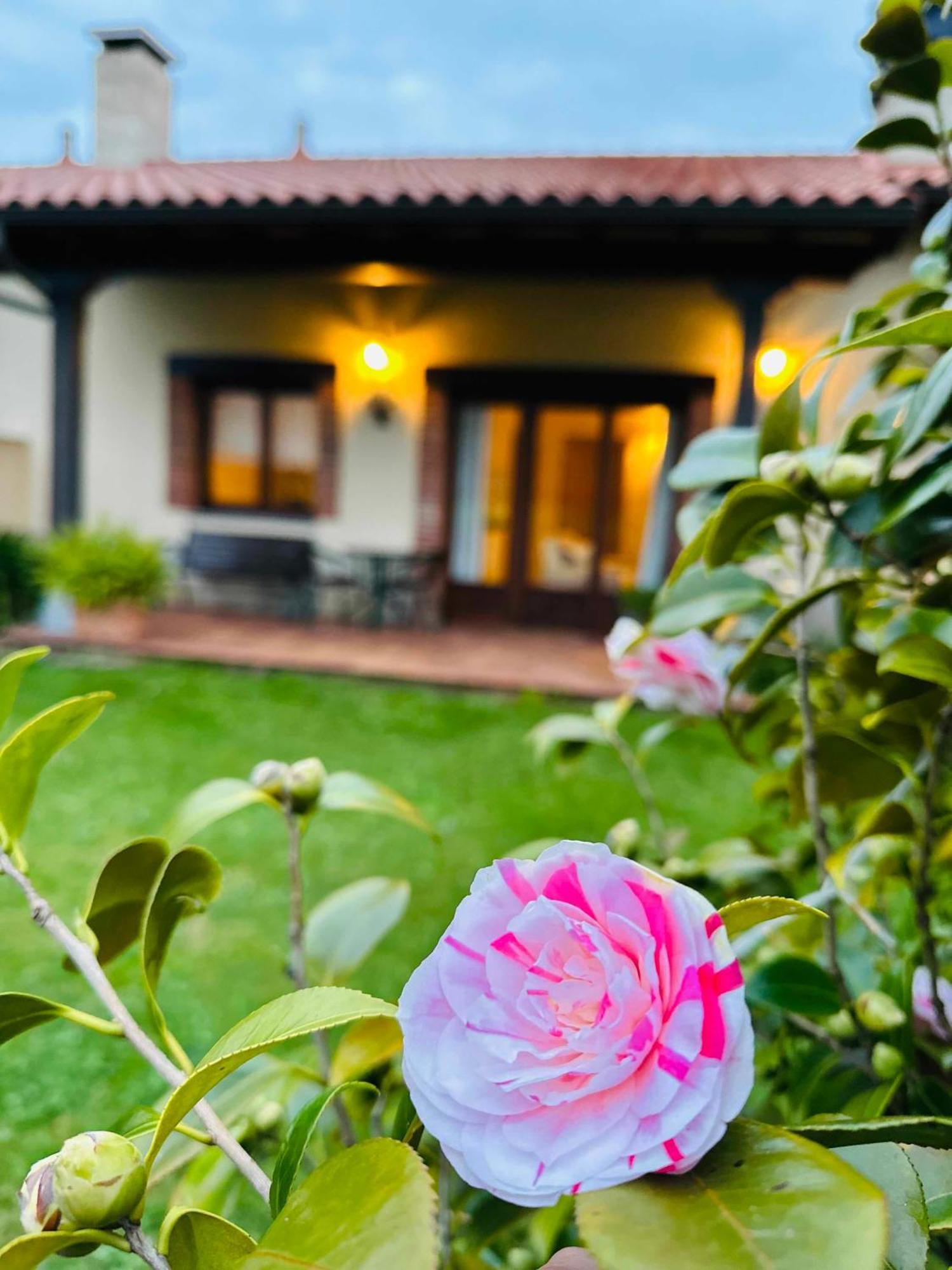 Apartamentos Rurales La Carbayala Oviñana エクステリア 写真